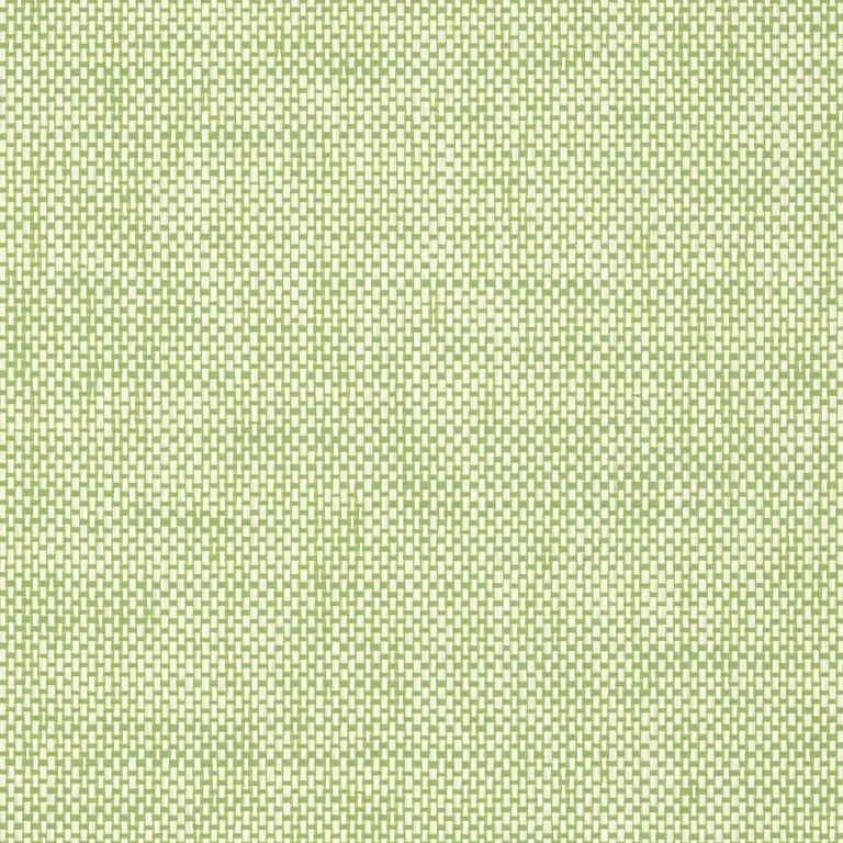 Thibaut Wicker Weave in Green (T72820)