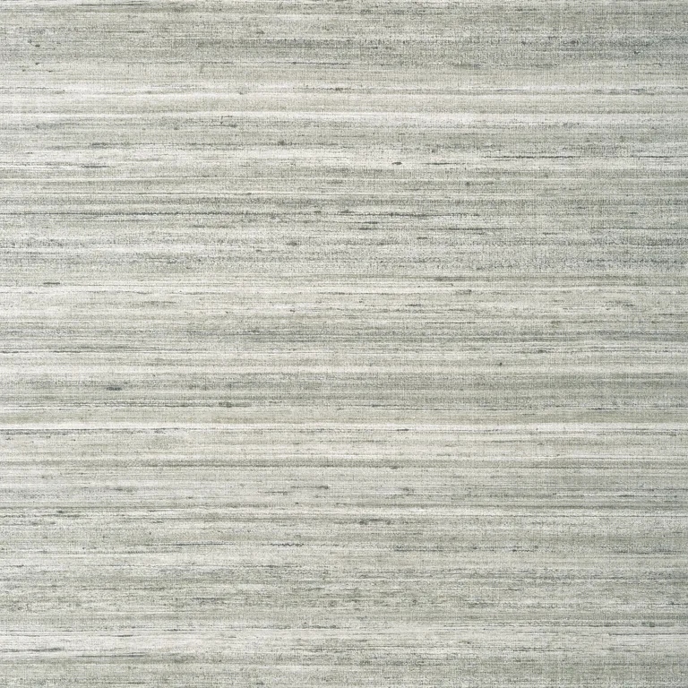 Thibaut Wild Silk in Charcoal on Metallic Silver (T335)