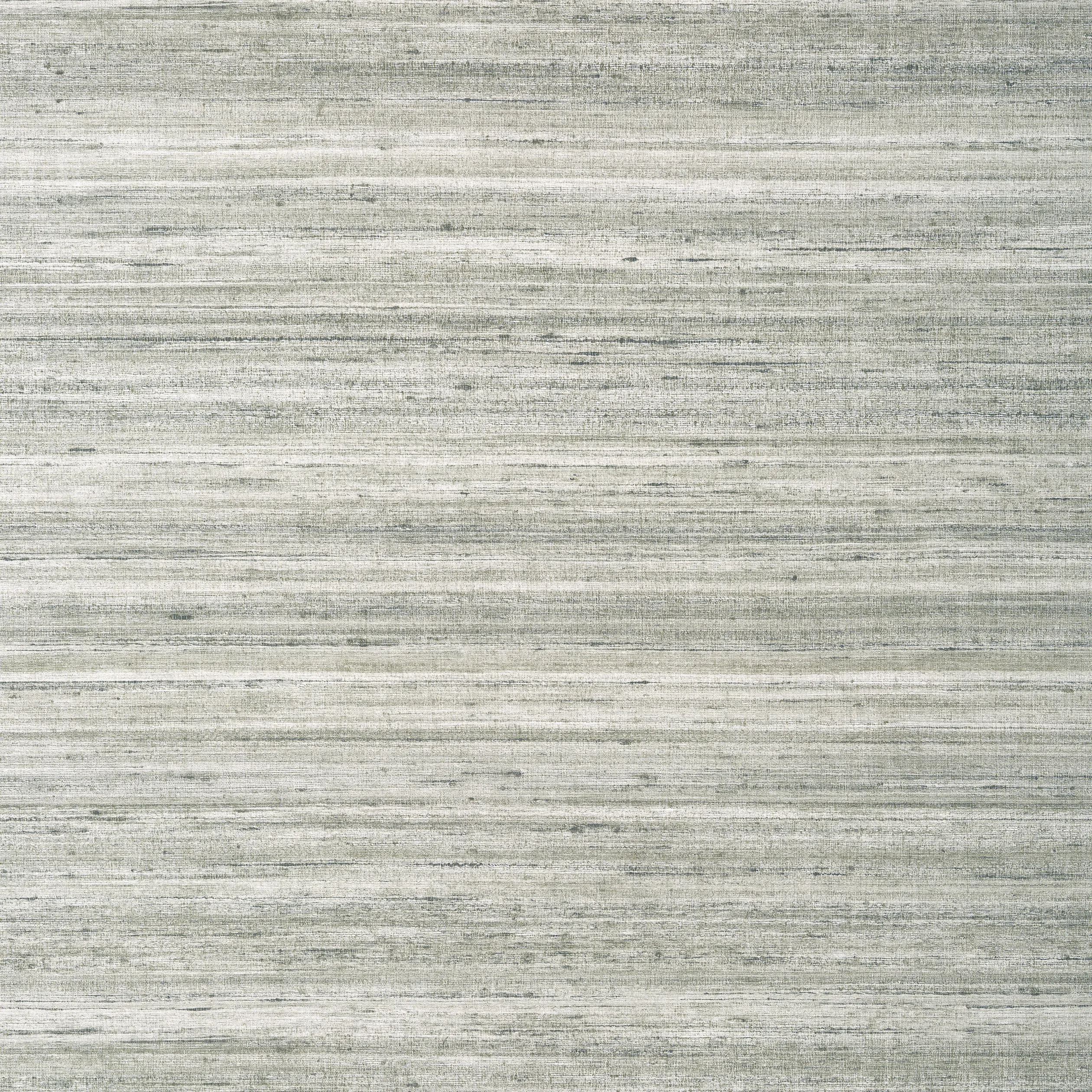 Thibaut Wild Silk in Charcoal on Metallic Silver (T335)