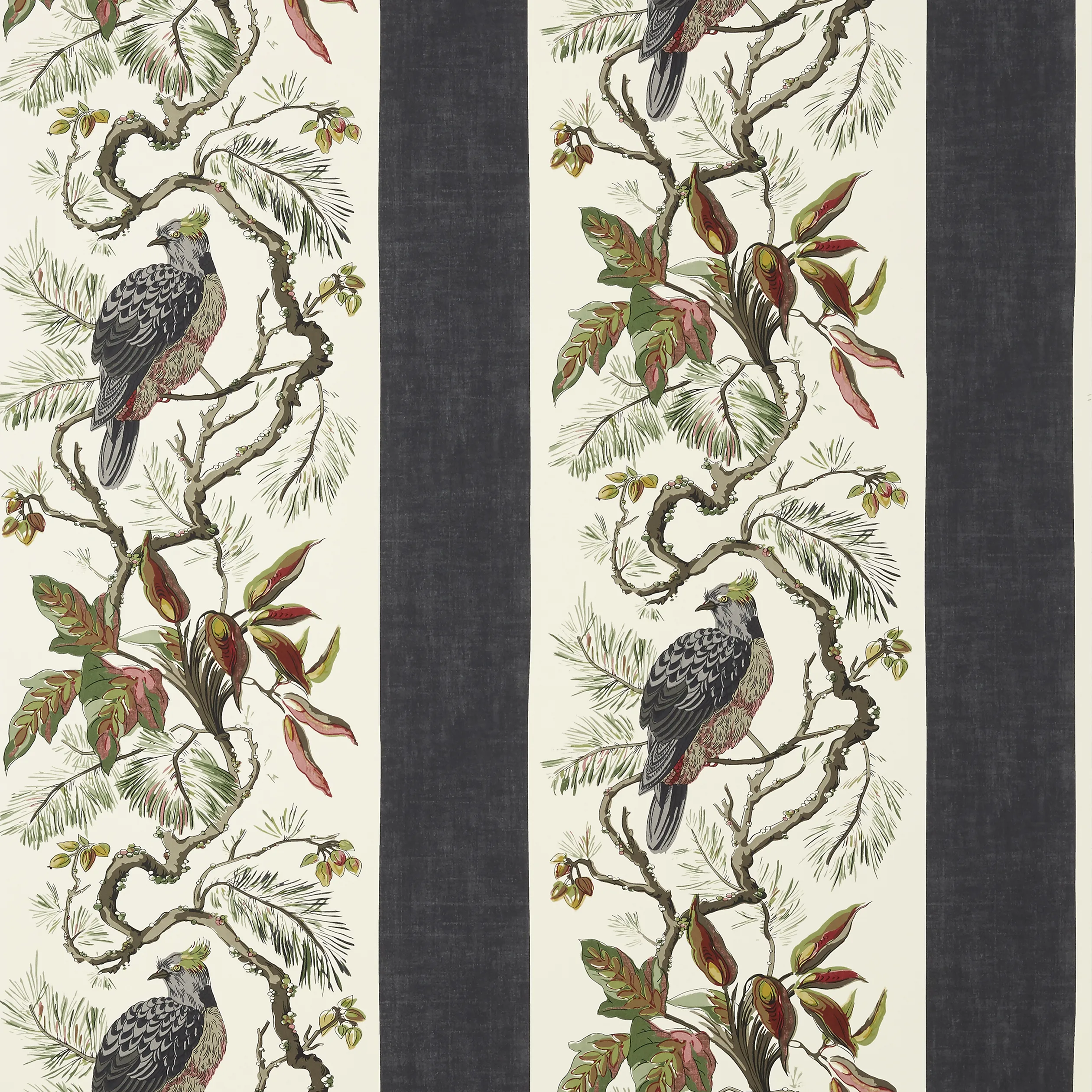 T10858 | Williamson – Black