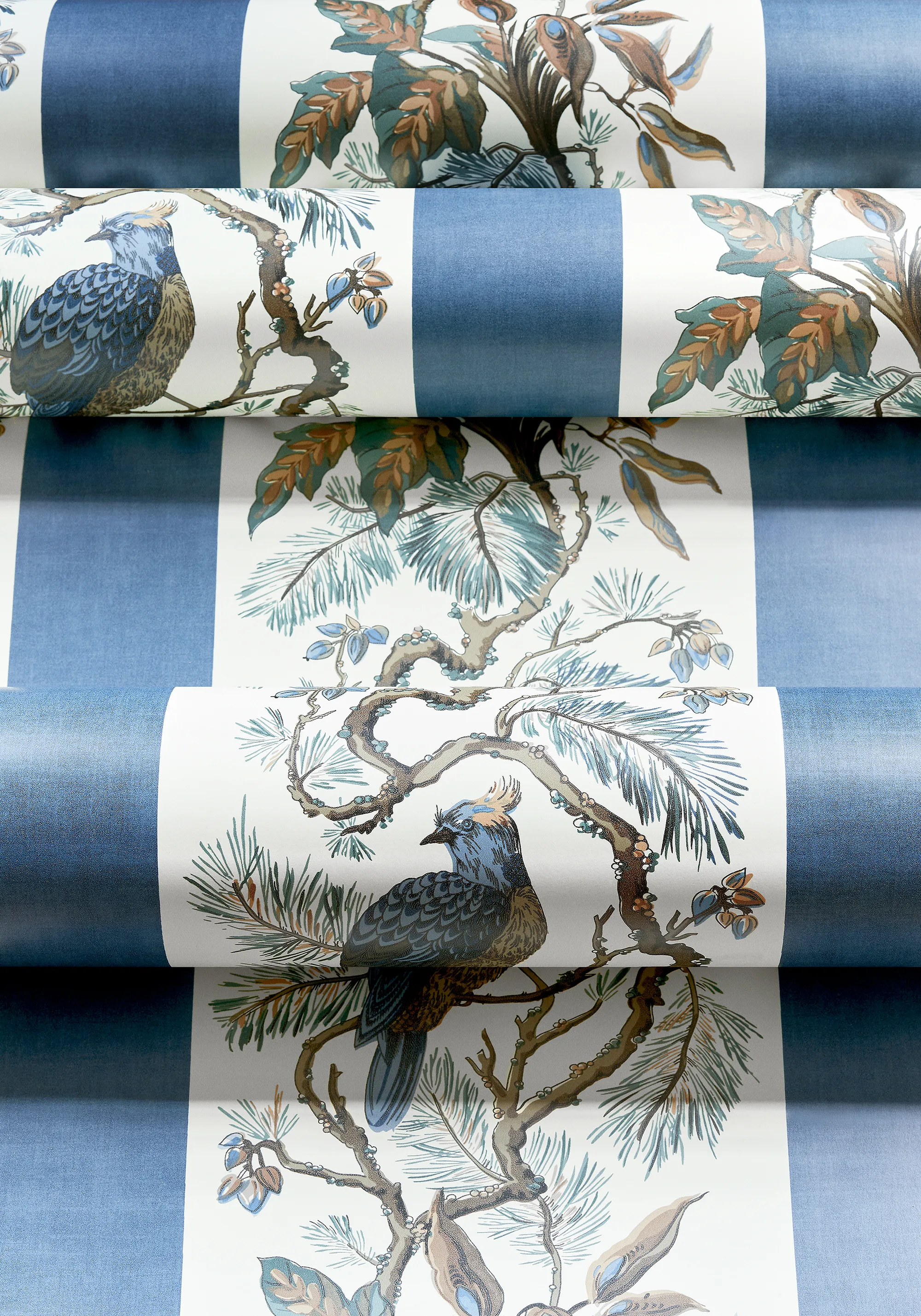 Thibaut Williamson in Blue (T10861)