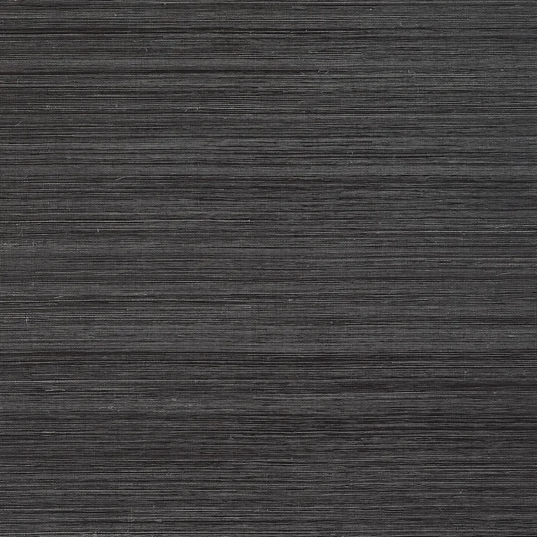 Thibaut Windward Sisal in Black (T19670)