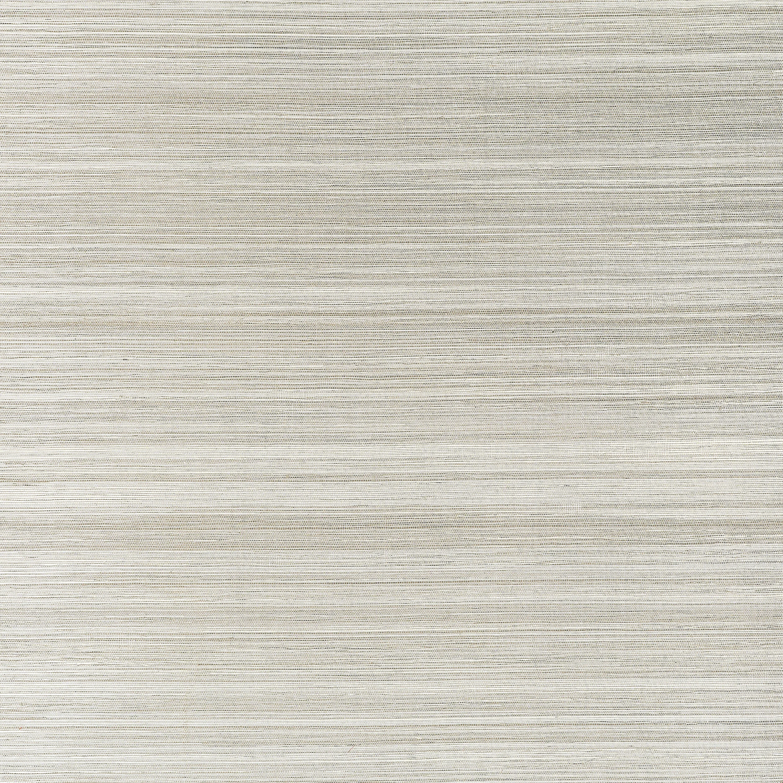 Thibaut Windward Sisal in Fog (T19674)