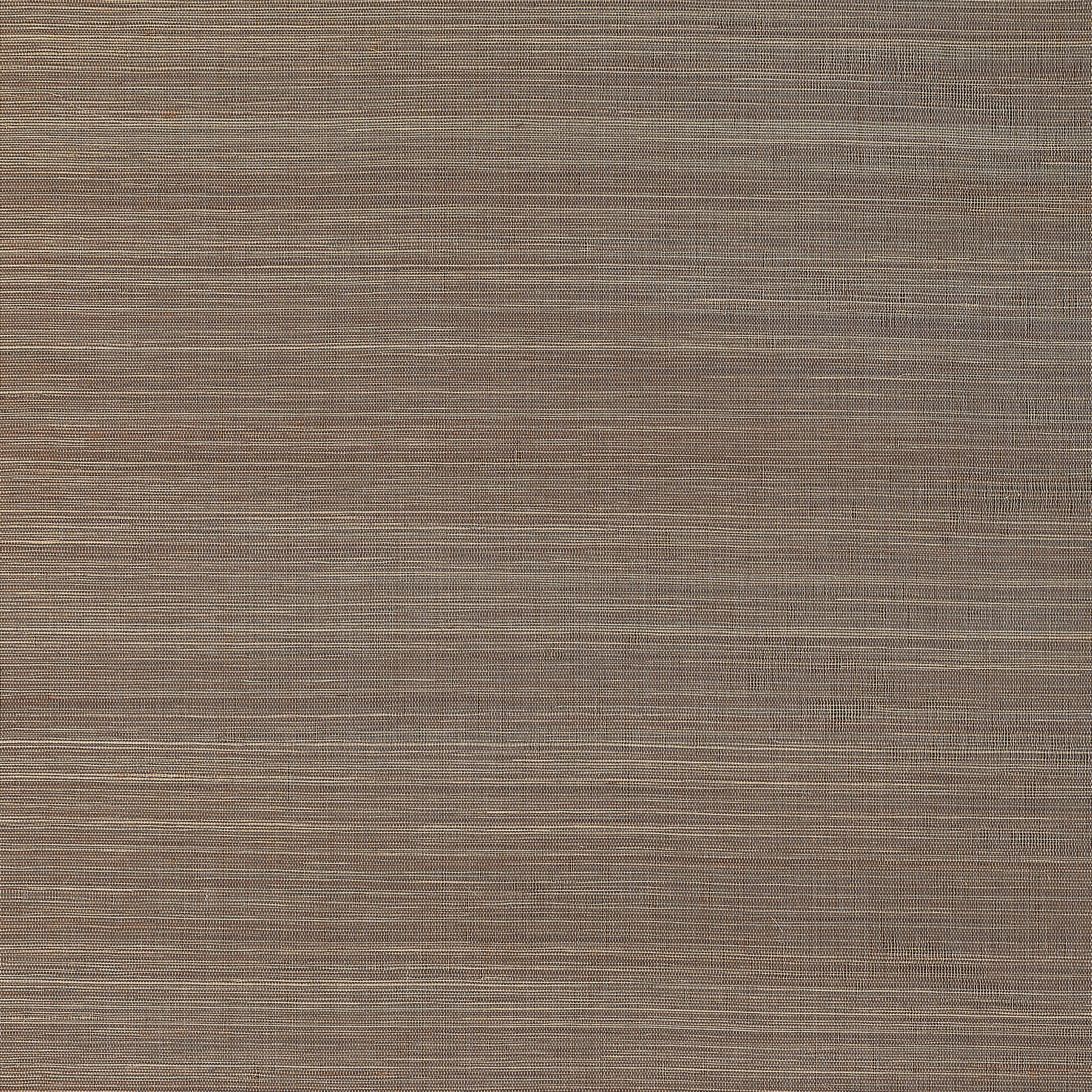 T19676 | Windward Sisal – Mink