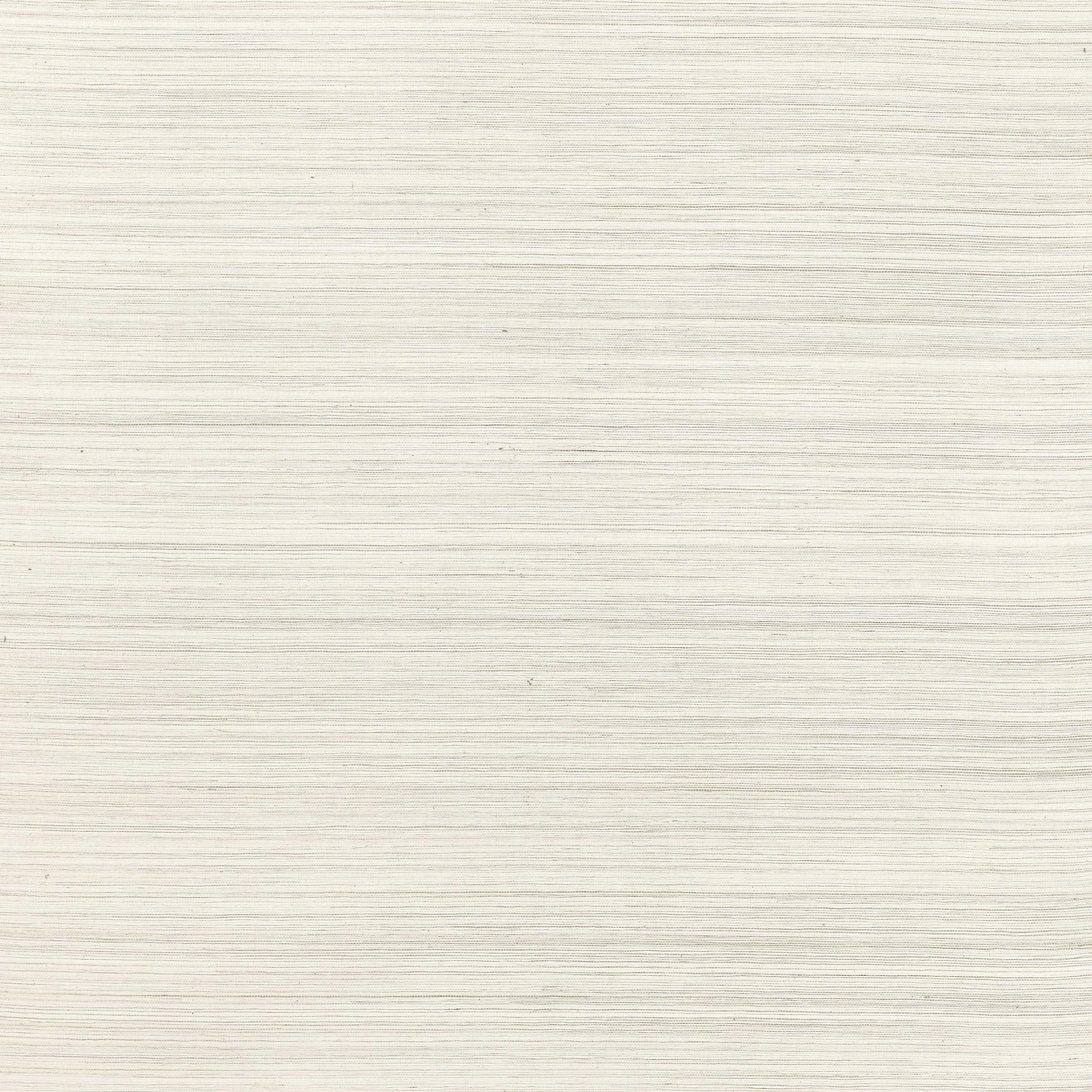 T3669 | Windward Sisal – Off White