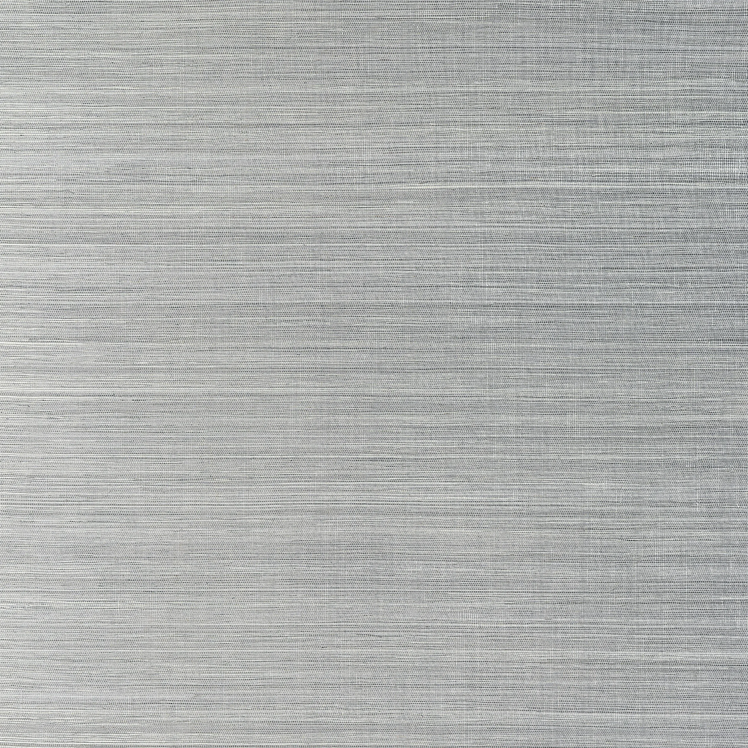 T19675 | Windward Sisal – Platinum