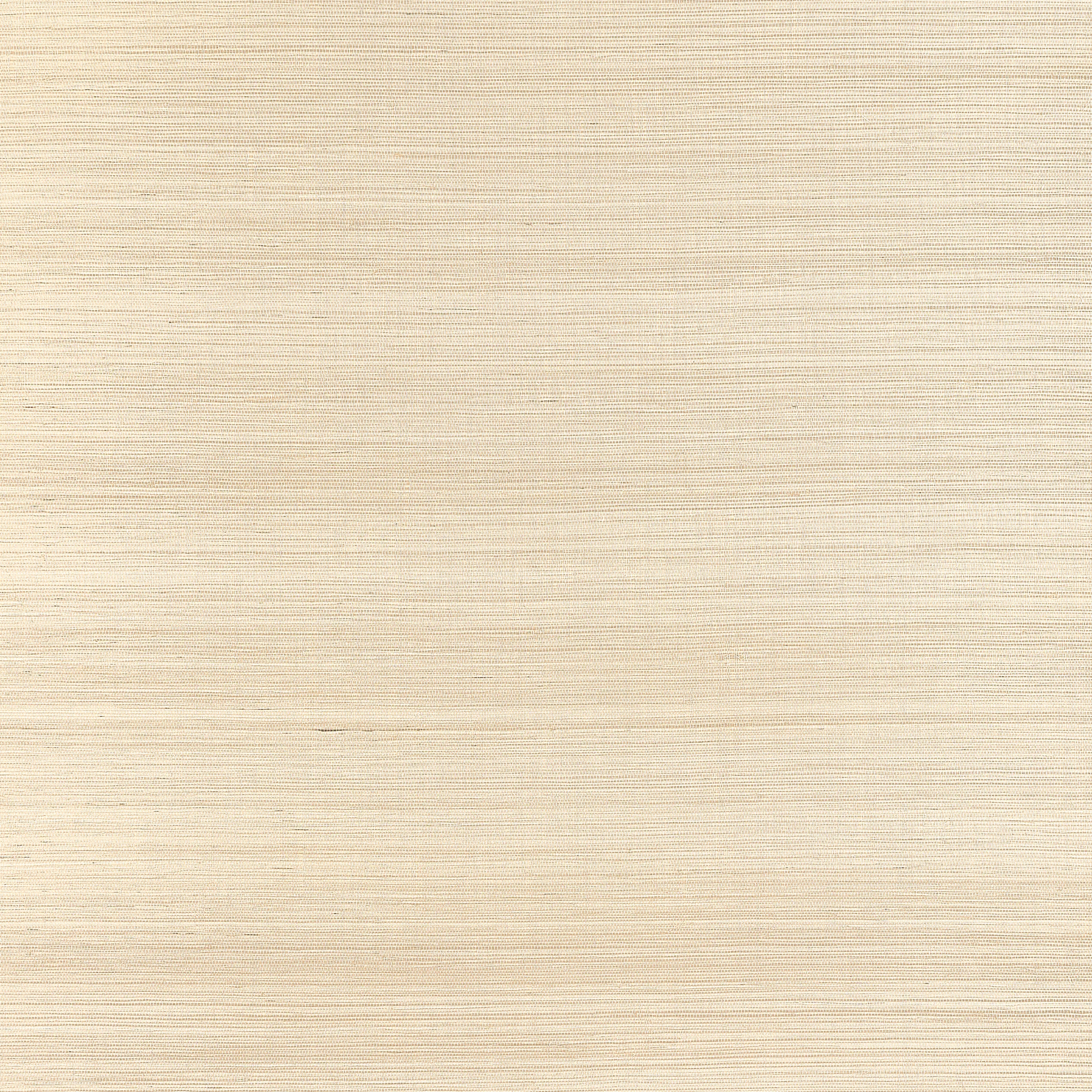 T19672 | Windward Sisal – Sand