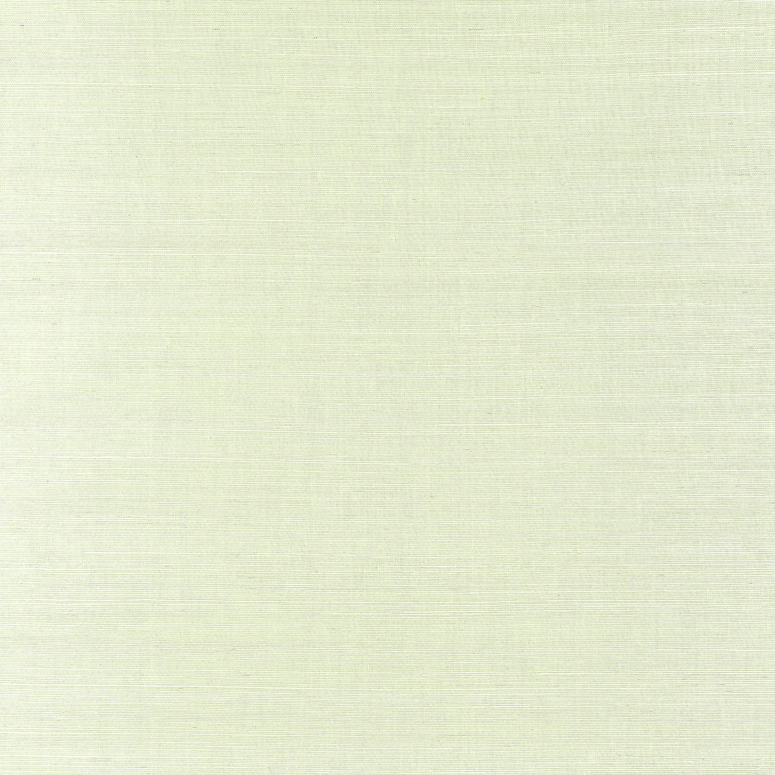 T19662 | Windward Sisal – Spring Green