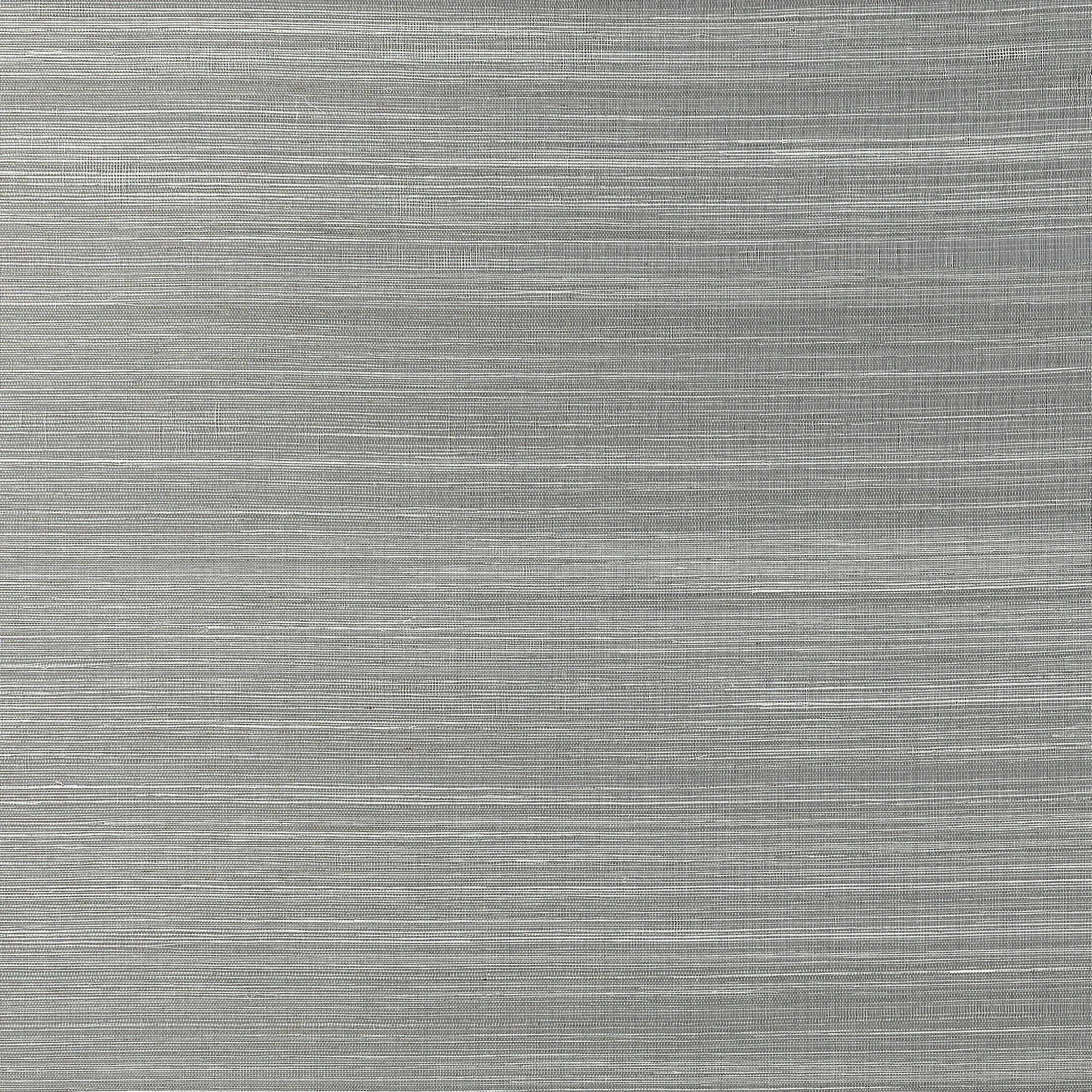 T19665 | Windward Sisal – Steel