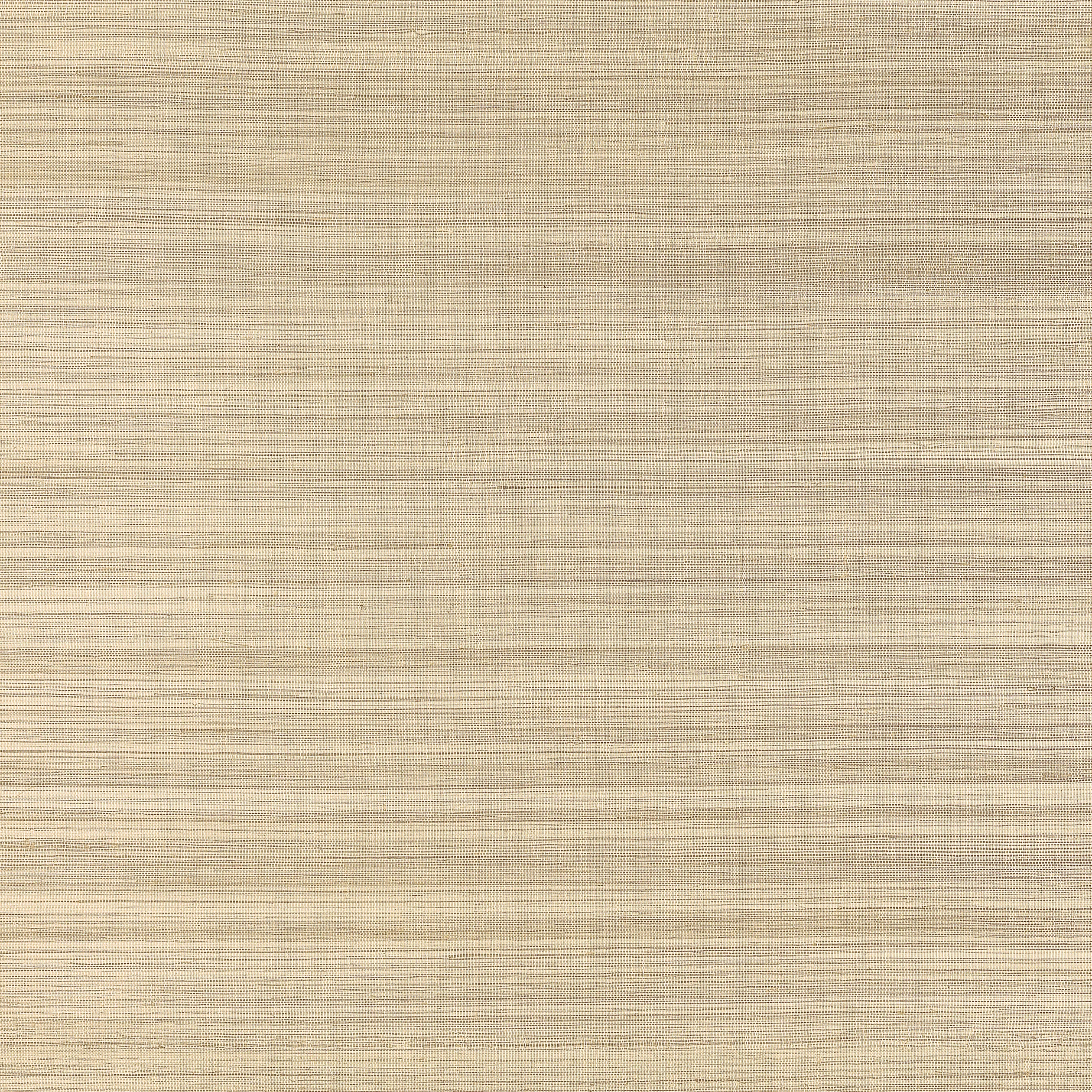 T19678 | Windward Sisal – Taupe