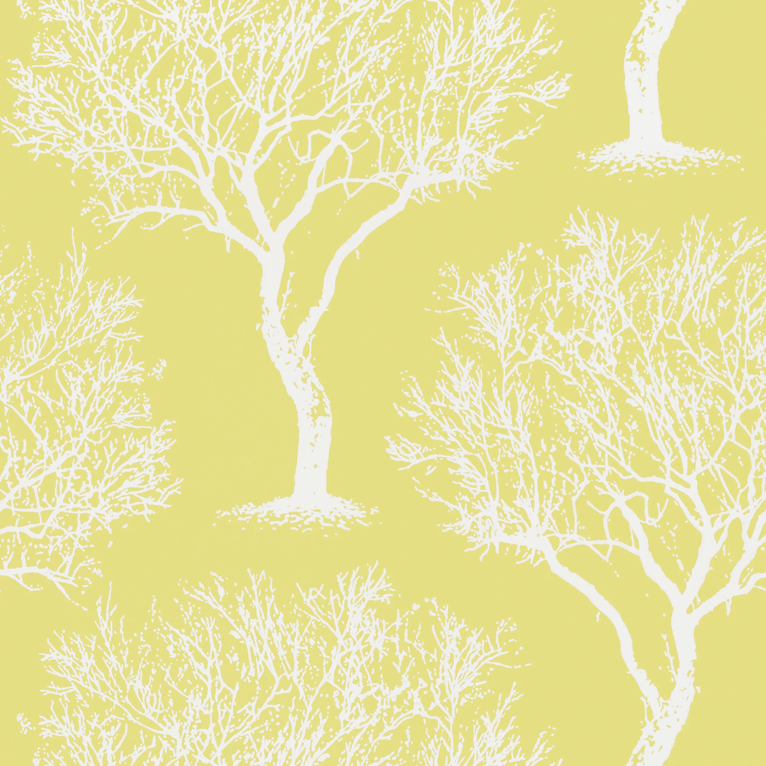 Anna French Winfell Forest in Citron (AT6003)