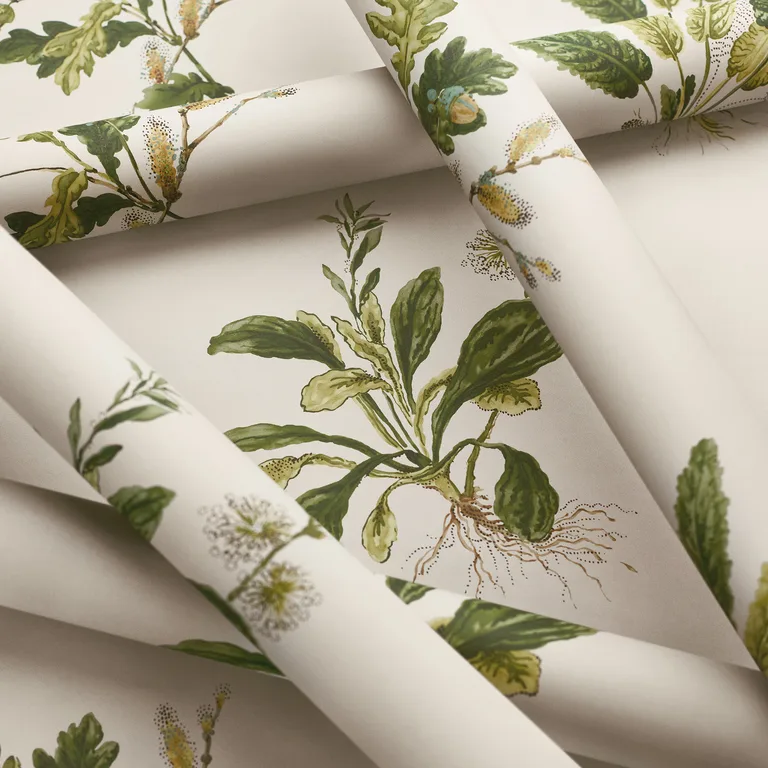 Anna French Woodland in Green on Natural (AT57853)
