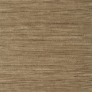 Thibaut Woodrow in Brown (T10986)