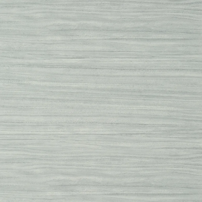 Thibaut Woodrow in Fog (T10987)
