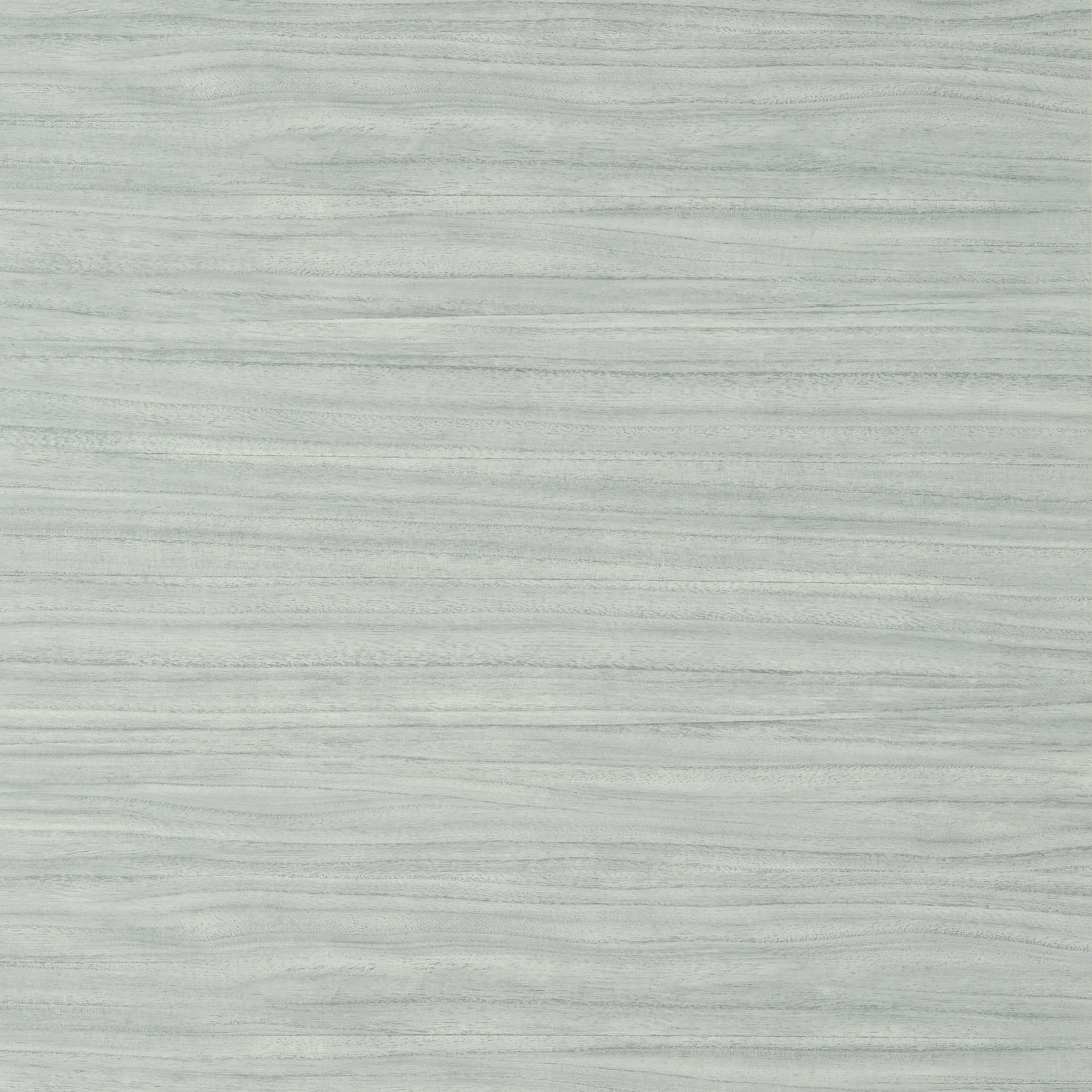 Thibaut Woodrow in Fog (T10987)