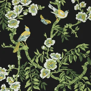 Thibaut Yukio in Black (T20845)
