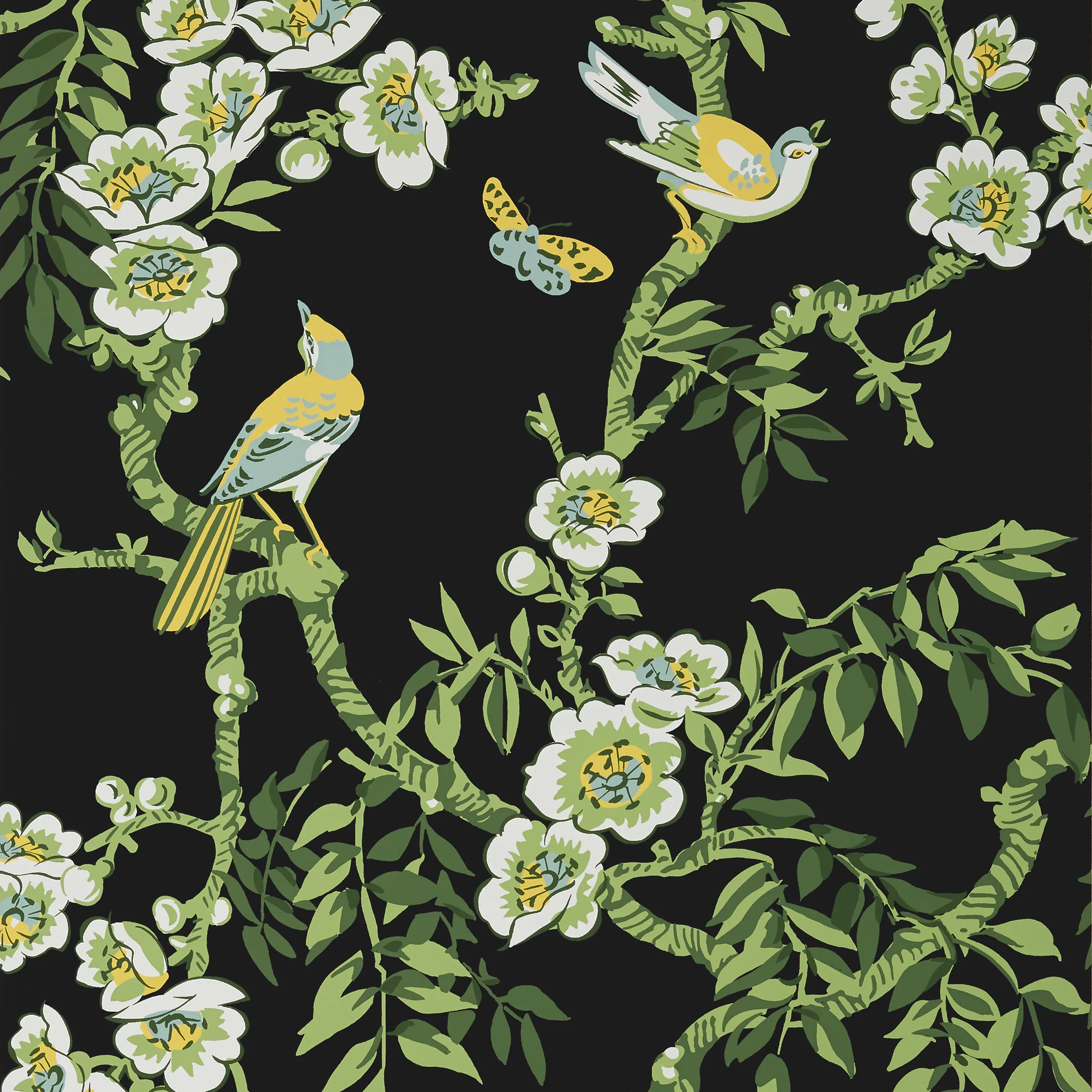 Thibaut Yukio in Black (T20845)