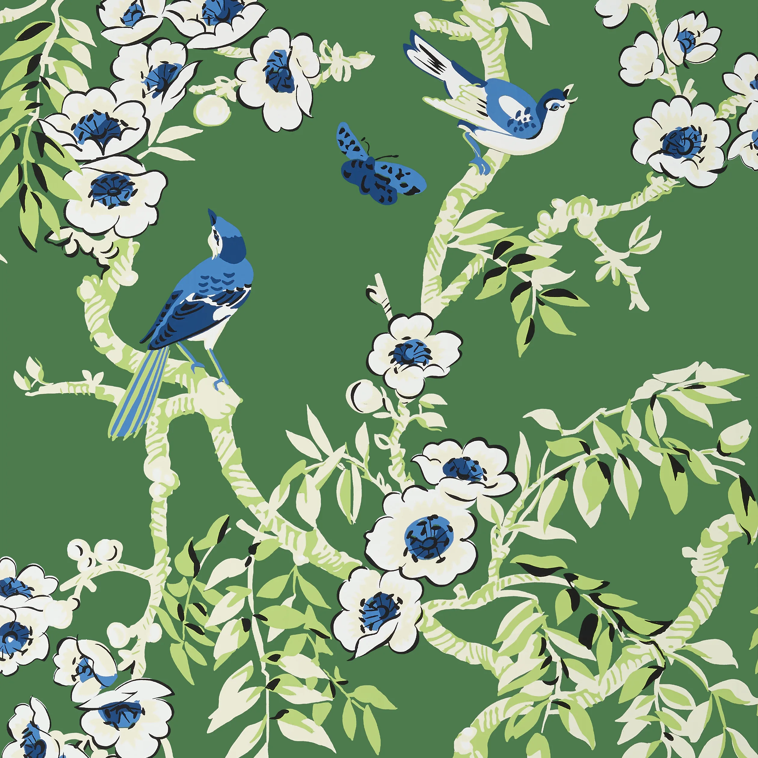 Thibaut Yukio in Green (T20841)