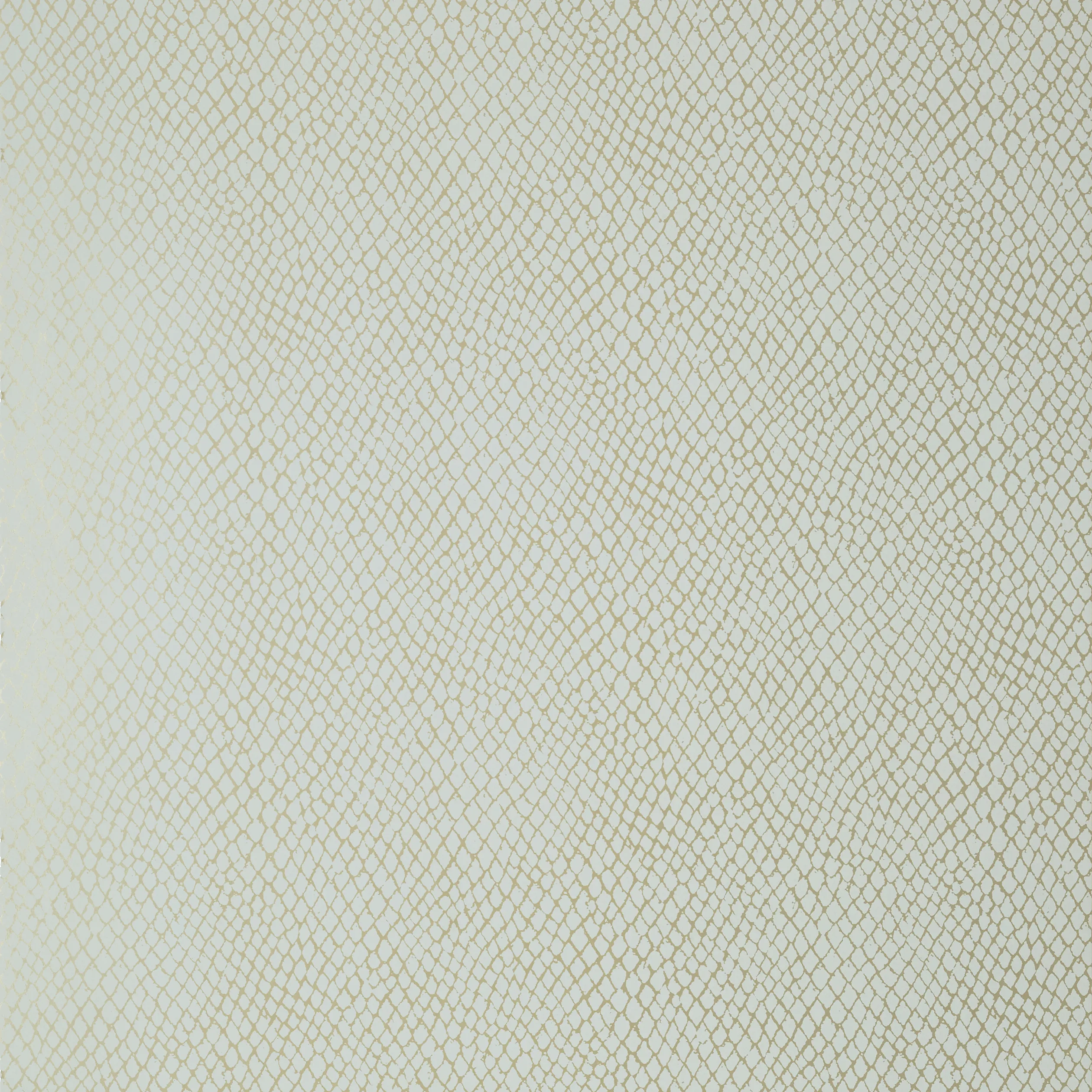 T85065 | Yuma – Aqua on Metallic Silver