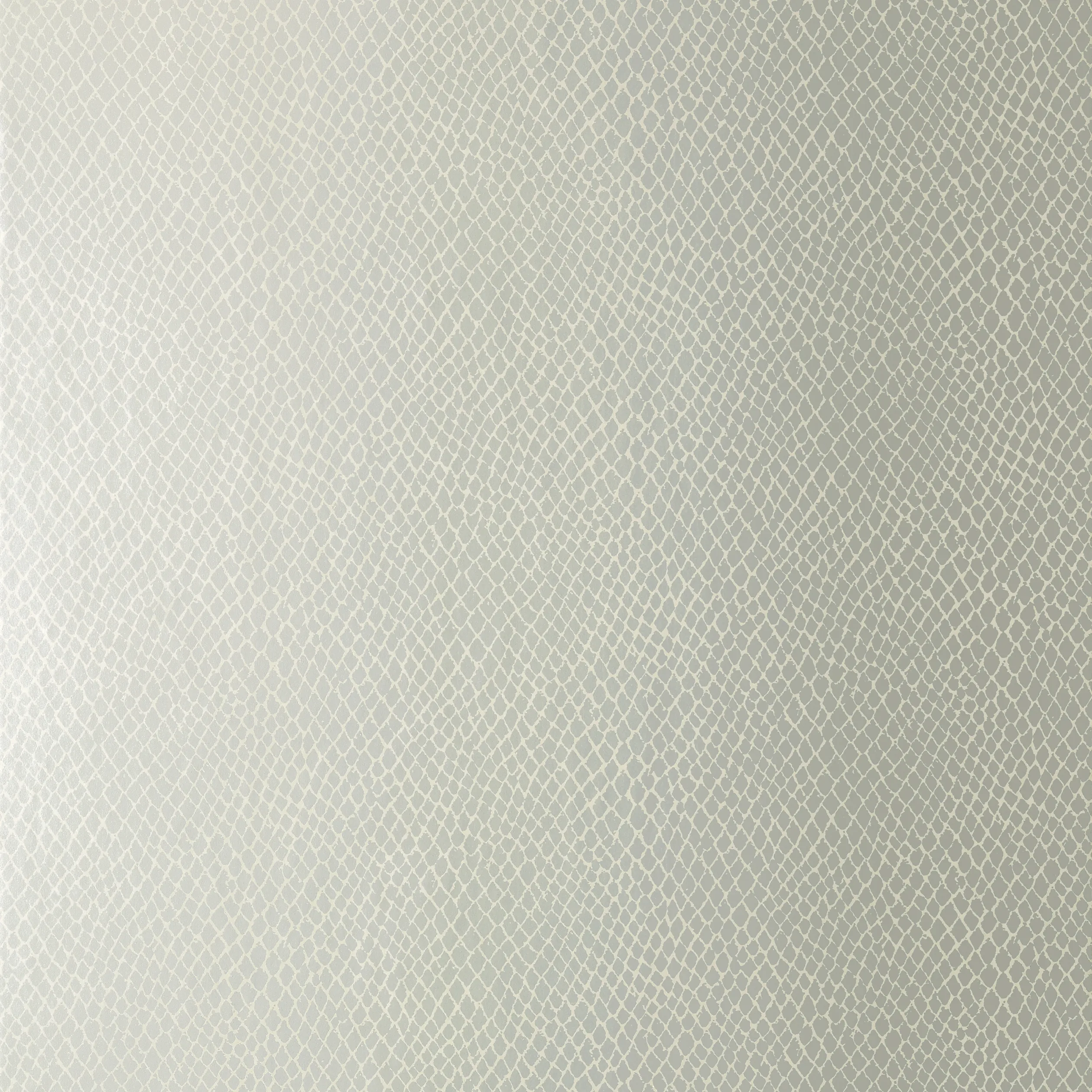 T85067 | Yuma – Metallic Silver