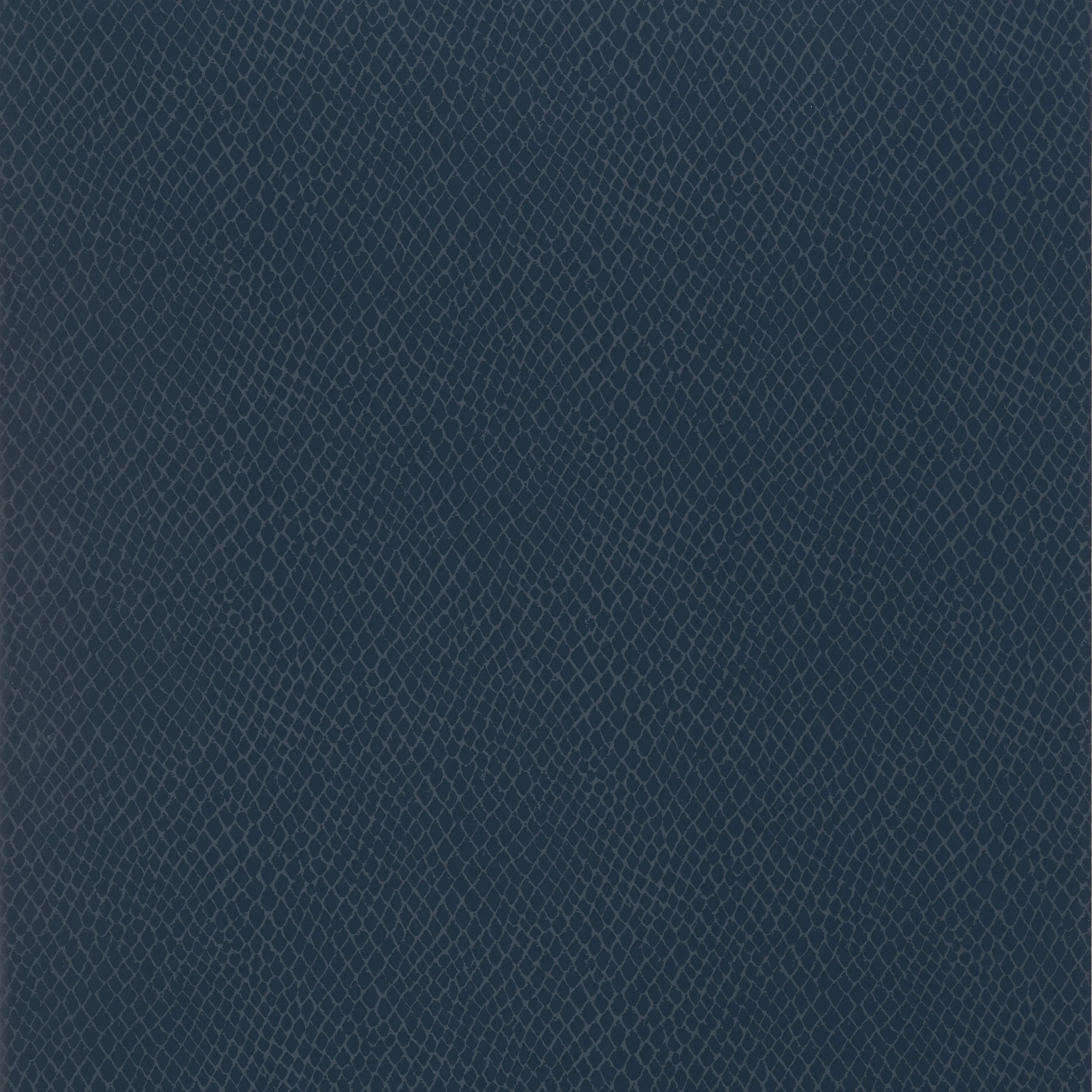 Thibaut Yuma in Navy (T85061)