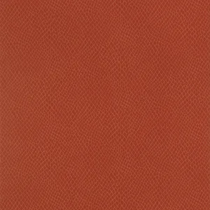 Thibaut Yuma in Tomato (T85062)