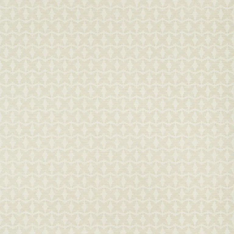 Thibaut Zion in Beige (T10915)