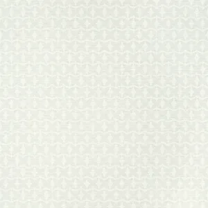 Thibaut Zion in Fog (T10916)