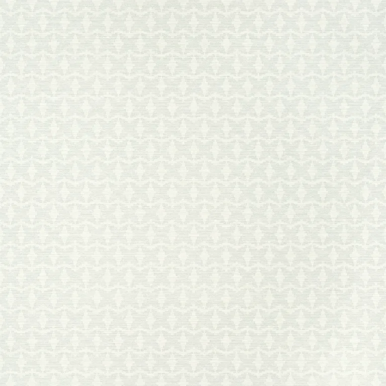 Thibaut Zion in Fog (T10916)