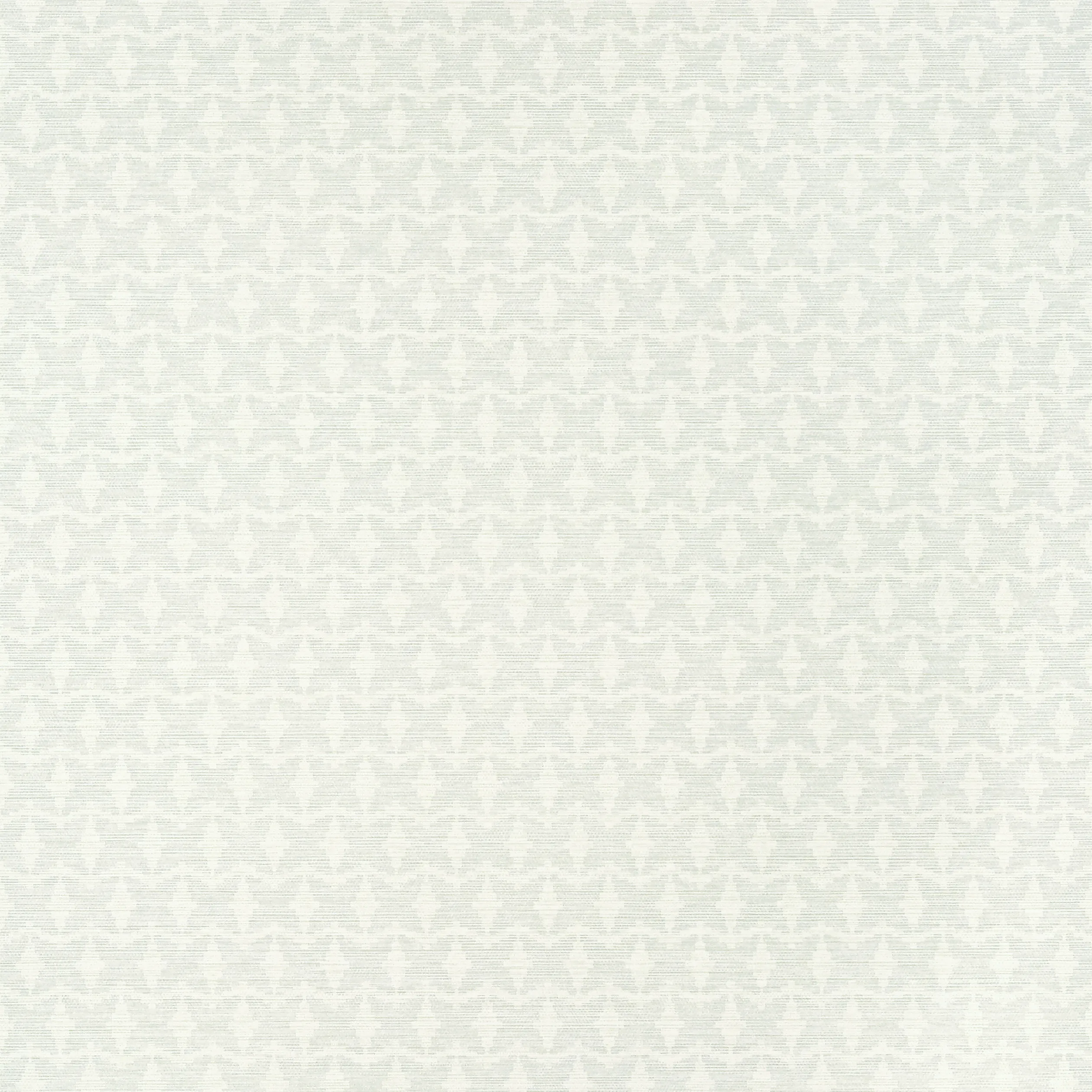 T10916 | Zion – Fog