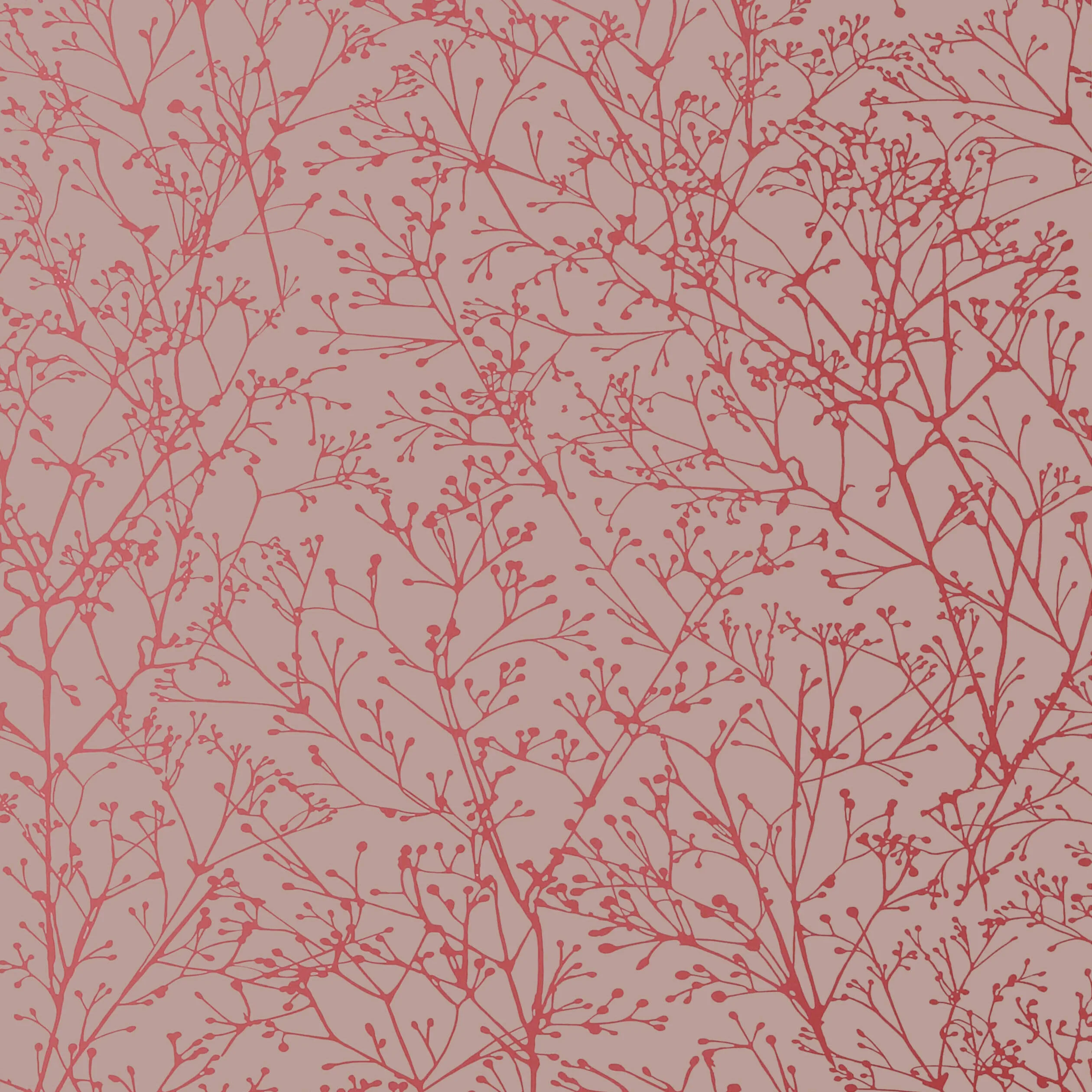 Anna French Zola in Pink on Grey (AT34123)
