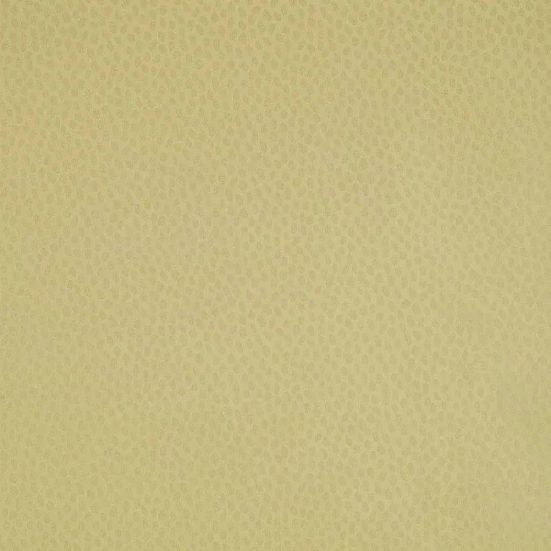 Spot On Citron Pearl Thibaut wallpaper by Wallpaper Twins