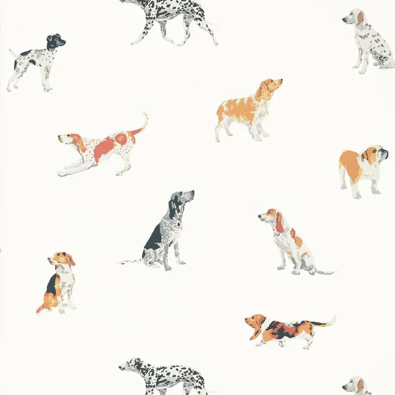 Buddy Multi Thibaut wallpaper by Wallpaper Twins