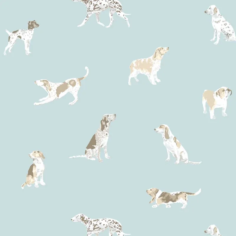 Buddy Robin's Egg Thibaut wallpaper by Wallpaper Twins