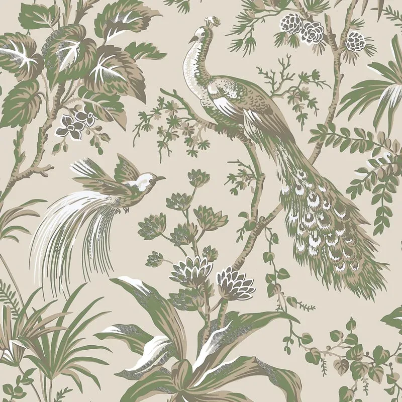 Peacock Toile Green on Natural Thibaut wallpaper by Wallpaper Twins