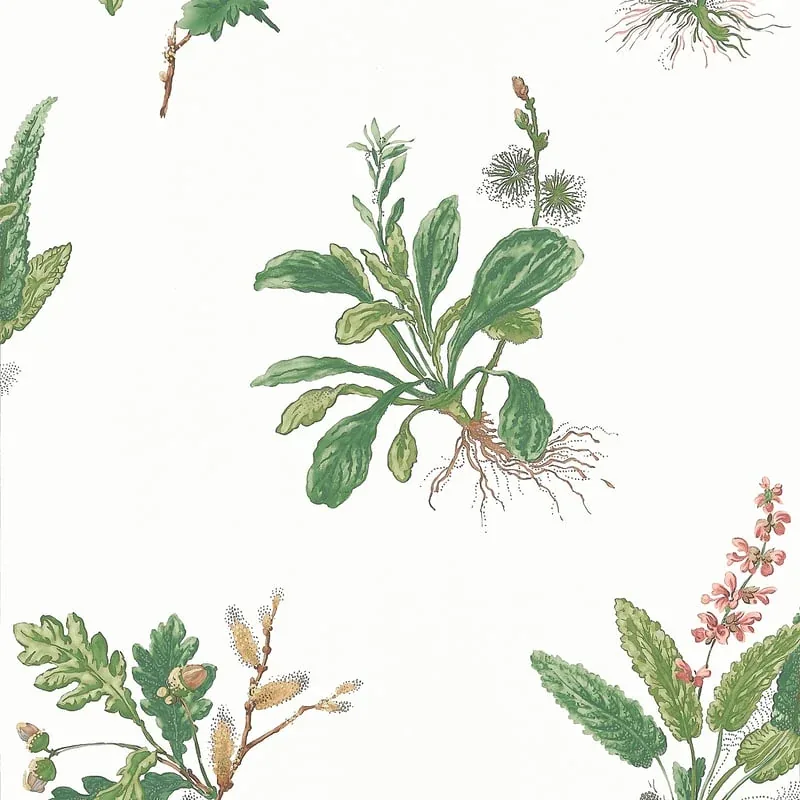 Woodland Green and Blush Thibaut wallpaper by Wallpaper Twins