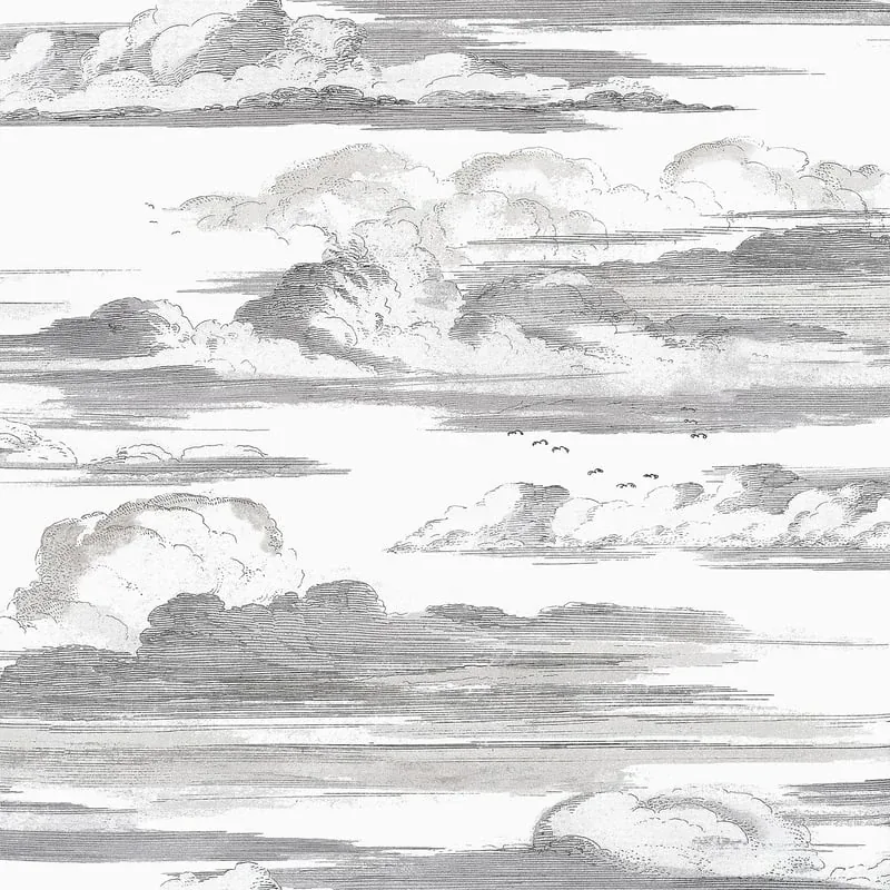 Cielo Black and White Thibaut wallpaper by Wallpaper Twins
