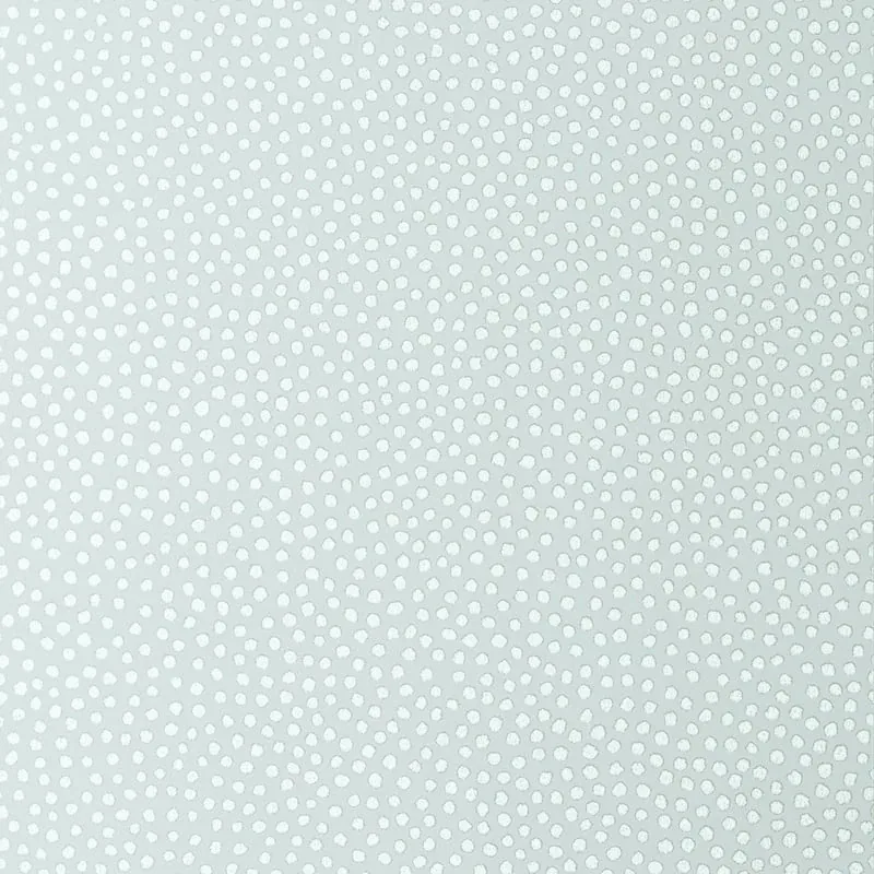 Davis Dot Aqua Thibaut wallpaper by Wallpaper Twins