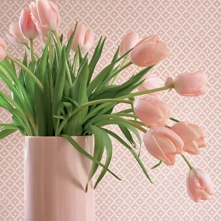 AT9676 | Petit Arbre - Blush room view
