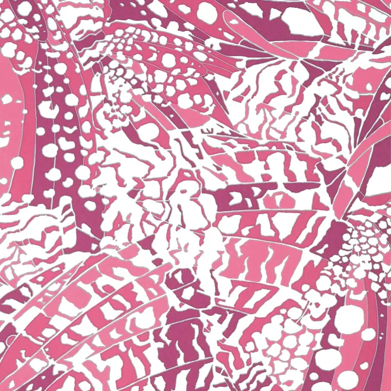 Puccini Fuchsia Thibaut wallpaper by Wallpaper Twins