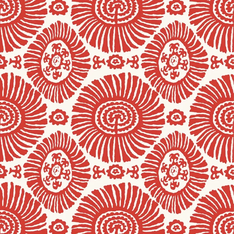 T10080 | Solis – Coral