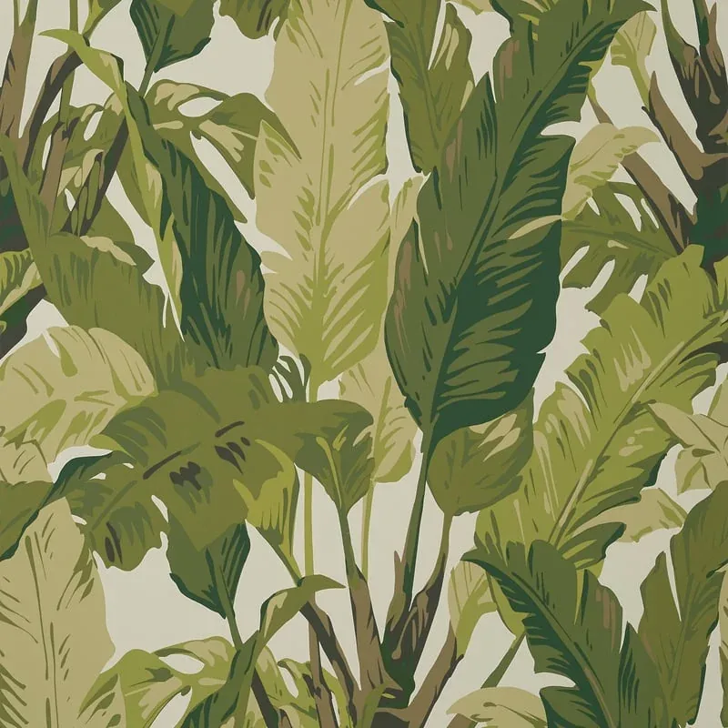 Travelers Palm Sage Thibaut wallpaper by Wallpaper Twins