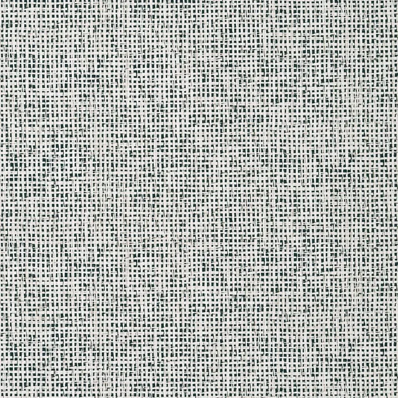 Pinellas Black Thibaut wallpaper by Wallpaper Twins
