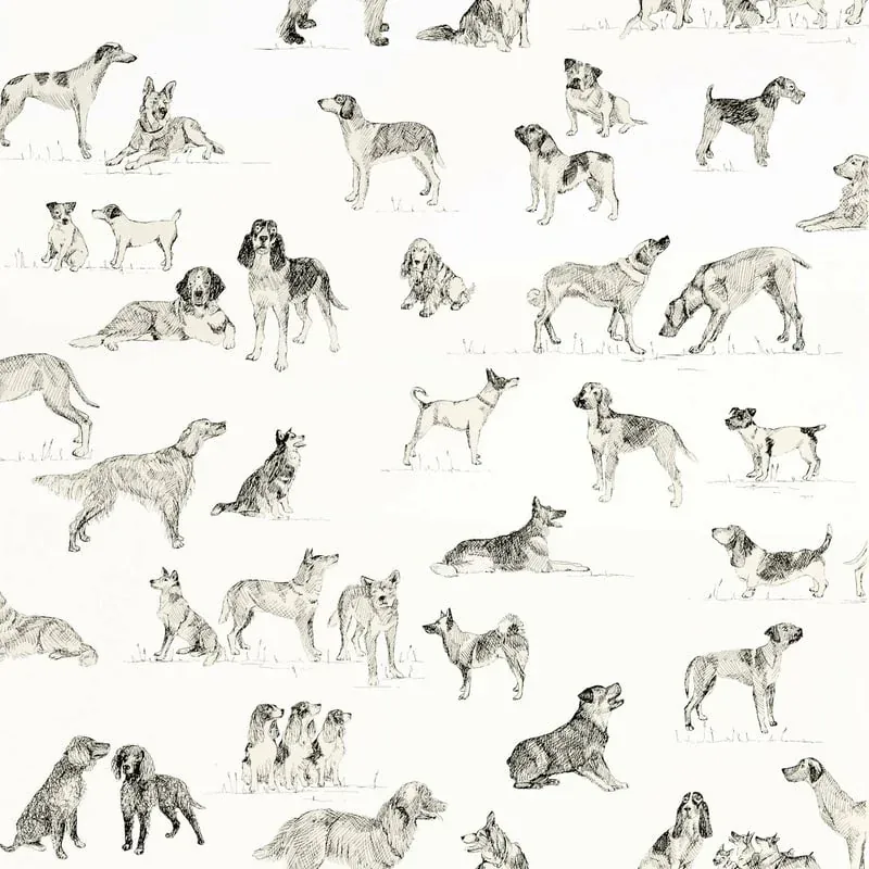 Best Friend Black and White Thibaut wallpaper by Wallpaper Twins