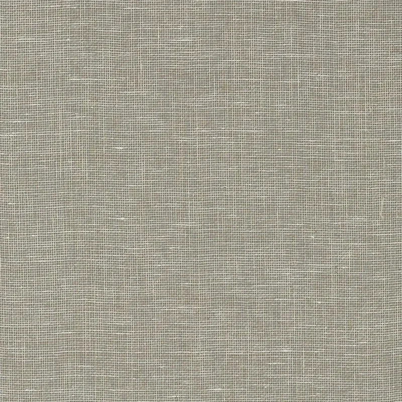 Villa Garden Texture Charcoal Thibaut wallpaper by Wallpaper Twins