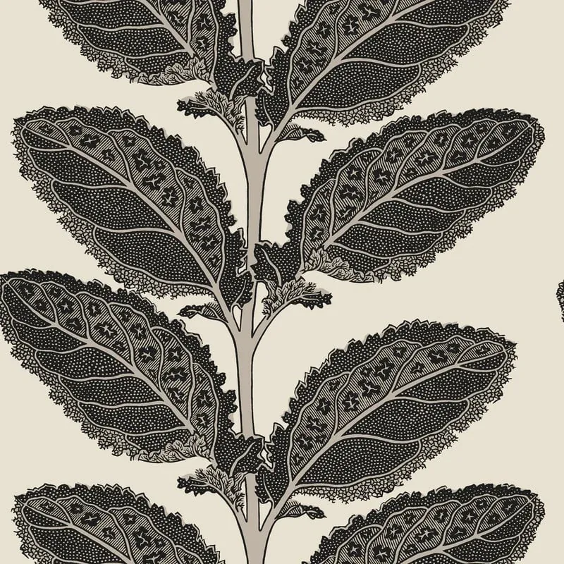 Lacinato Basalt Black Thibaut wallpaper by Wallpaper Twins