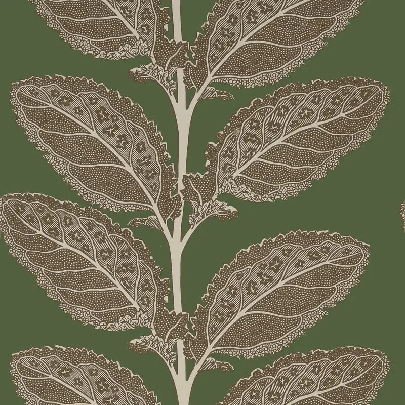 Lacinato Wild Sage Thibaut wallpaper by Wallpaper Twins