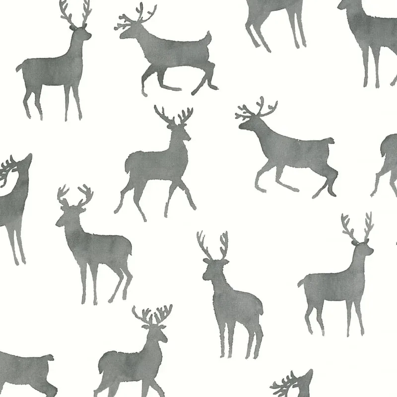 Bucks Basalt Black Thibaut wallpaper by Wallpaper Twins