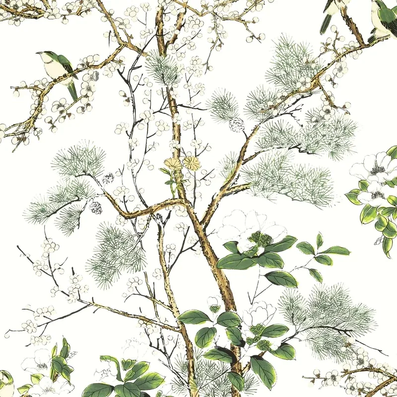 Katsura Green and White Thibaut wallpaper by Wallpaper Twins