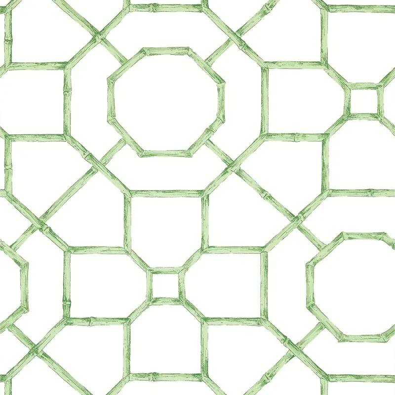 Arbor Green Thibaut wallpaper by Wallpaper Twins
